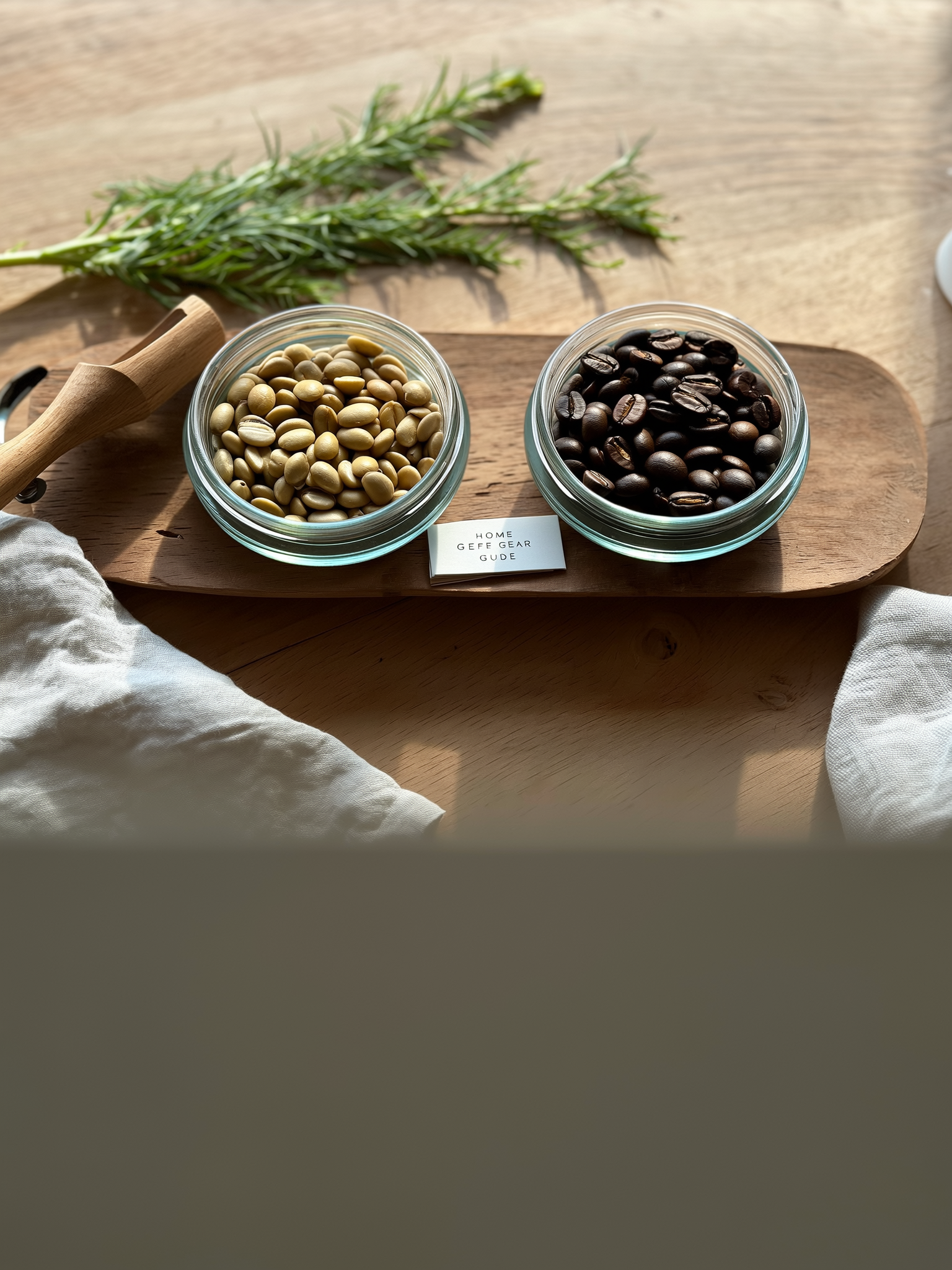 Ethiopian vs Colombian Coffee: Pick the Right Bean for Your Brew